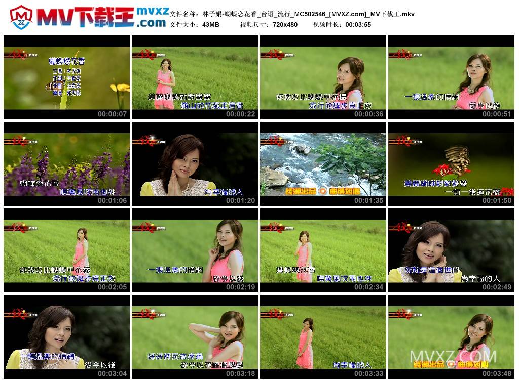 林子娟-蝴蝶恋花香_台语_流行_MC502546